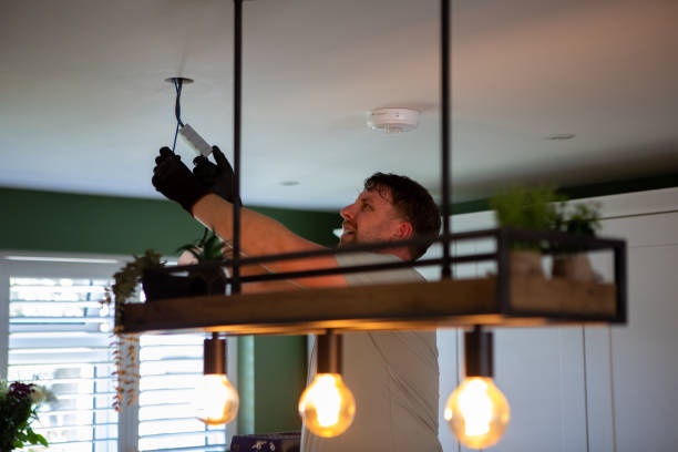 Best Local Electrician Companies  in Whitmore Lake, MI